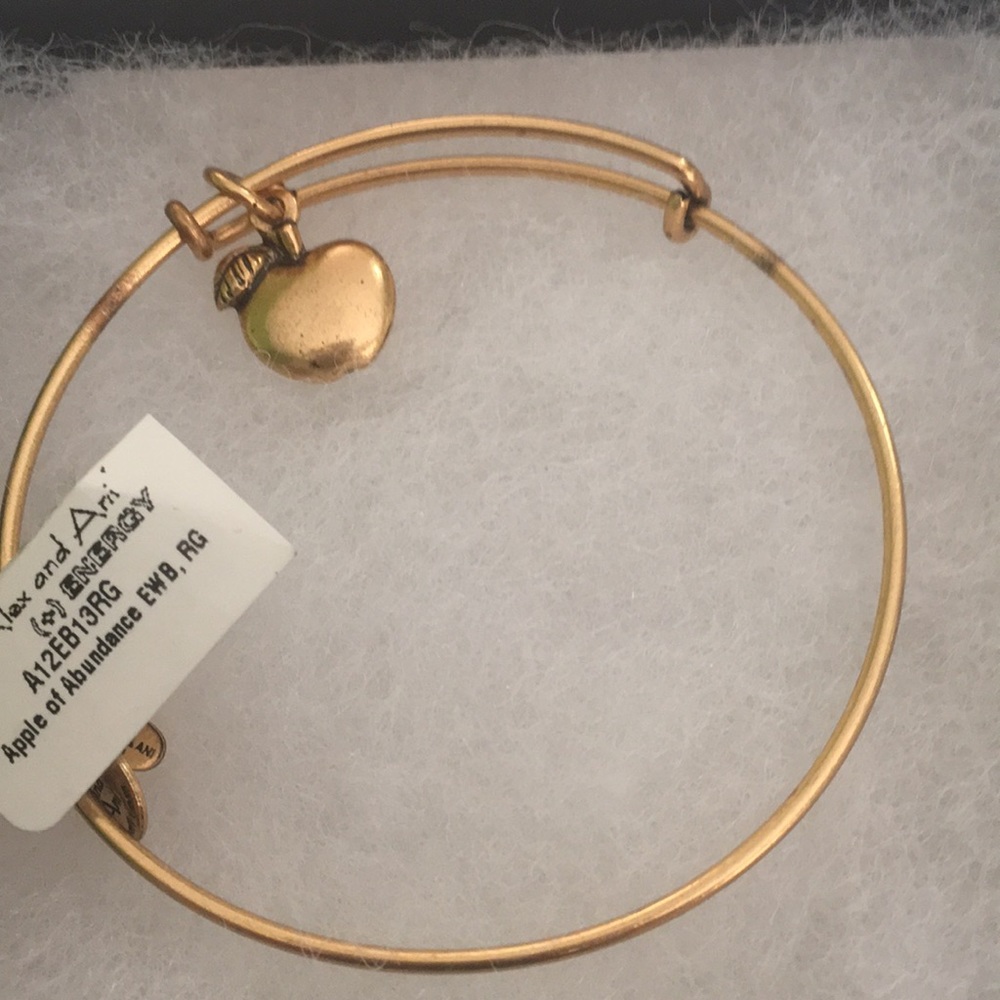 Alex and Ani Energy Bracelet with Apple charm